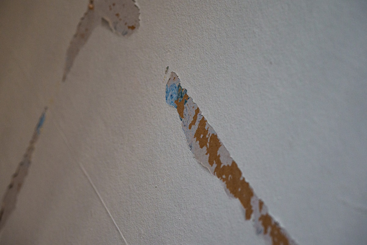 Commercial Water Damage service in Lee's Summit, MO